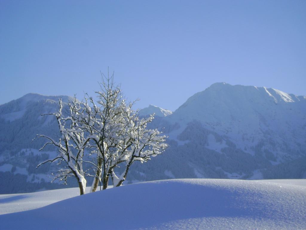 Landhaus Berktold Obermaiselstein Luaran gambar